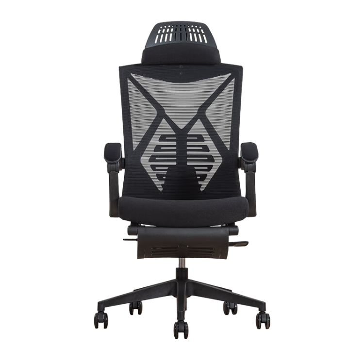 Minimalist Ergonomic Executive Chair with Headrest and Casters