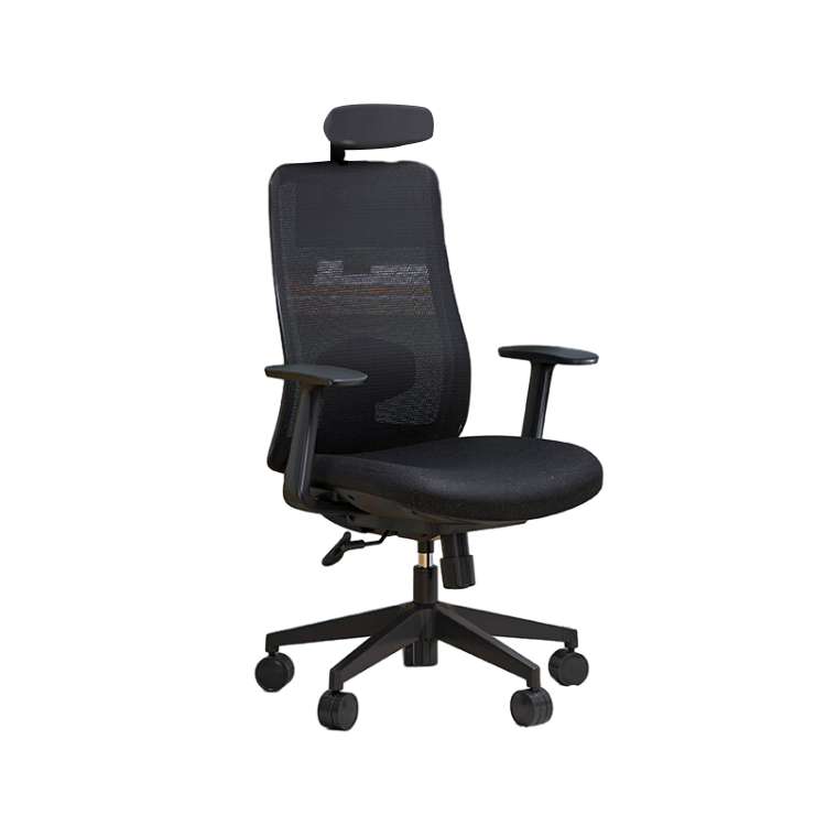 Minimalist Ergonomic Executive Chair with Headrest and Casters