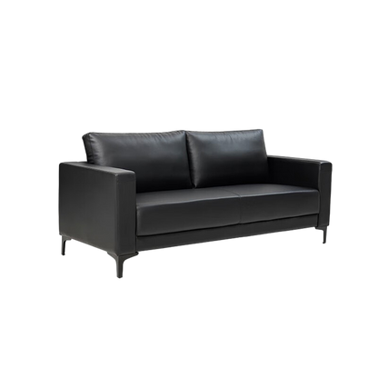 Simplified modern sofa, business office sofa, casual sofa with deep seating, black, leather