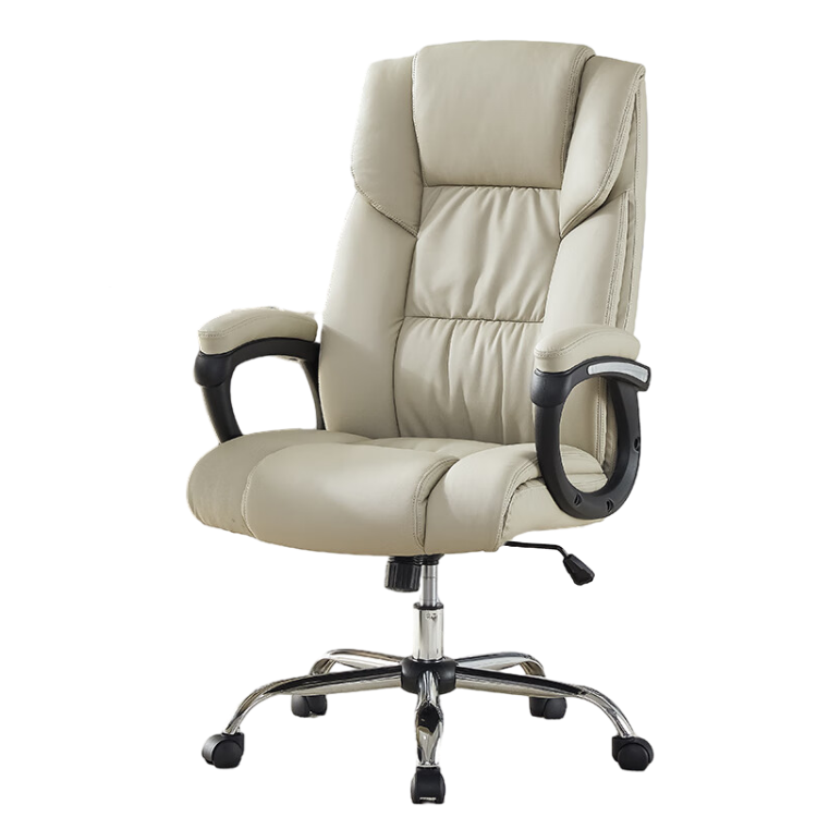 Ergonomic Leather Executive Chair with Casters