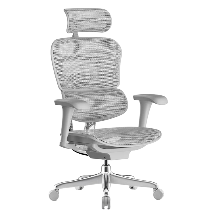 Reclinable Mesh Office Chair Executive Chair Ergonomic Chair