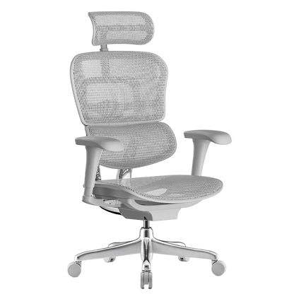 Reclinable Mesh Office Chair Executive Chair Ergonomic Chair