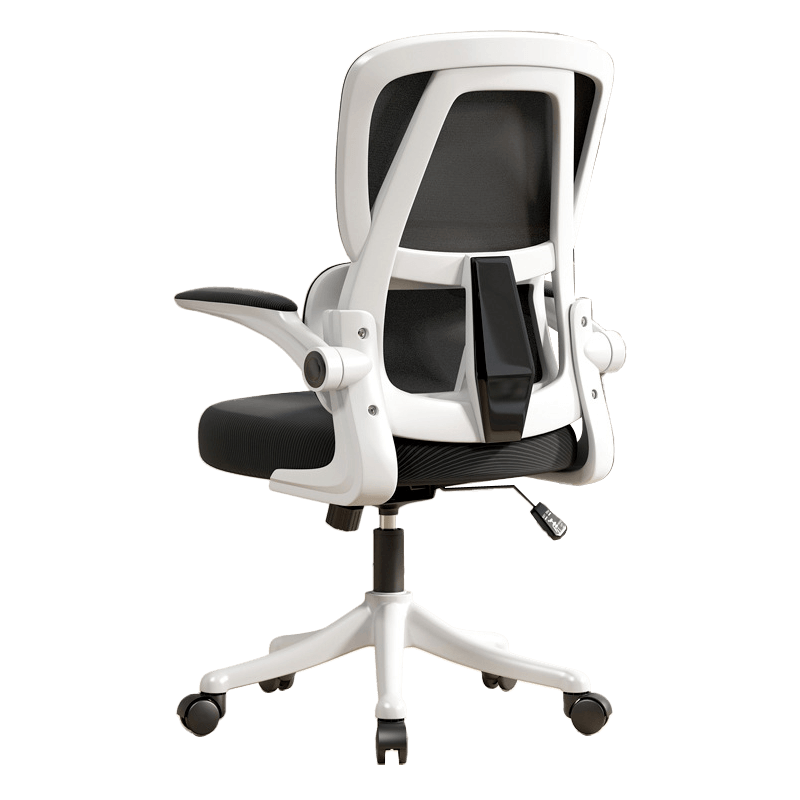 Ergonomic Office Chair with Dual Backrests for Lumbar Protection