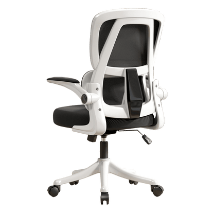 Ergonomic Office Chair with Dual Backrests for Lumbar Protection