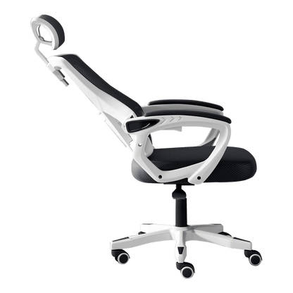 Reclining Ergonomic Office Chair Computer Chair with Footrest