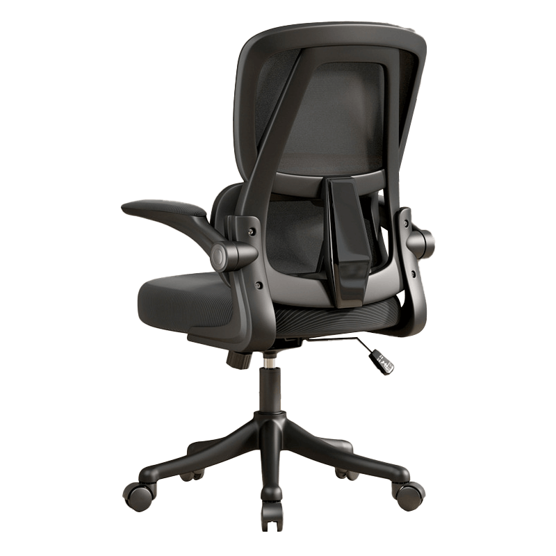 Ergonomic Office Chair with Dual Backrests for Lumbar Protection