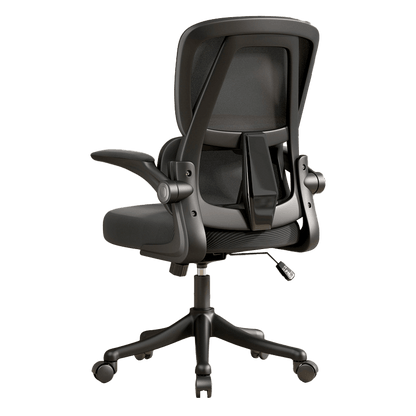 Ergonomic Office Chair with Dual Backrests for Lumbar Protection