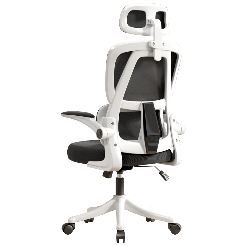 Ergonomic Office Chair with Dual Backrests for Lumbar Protection