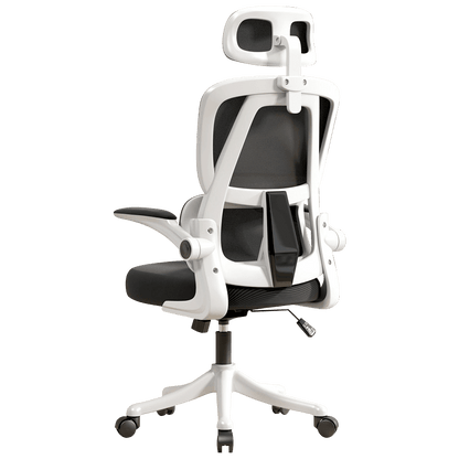 Ergonomic Office Chair with Dual Backrests for Lumbar Protection