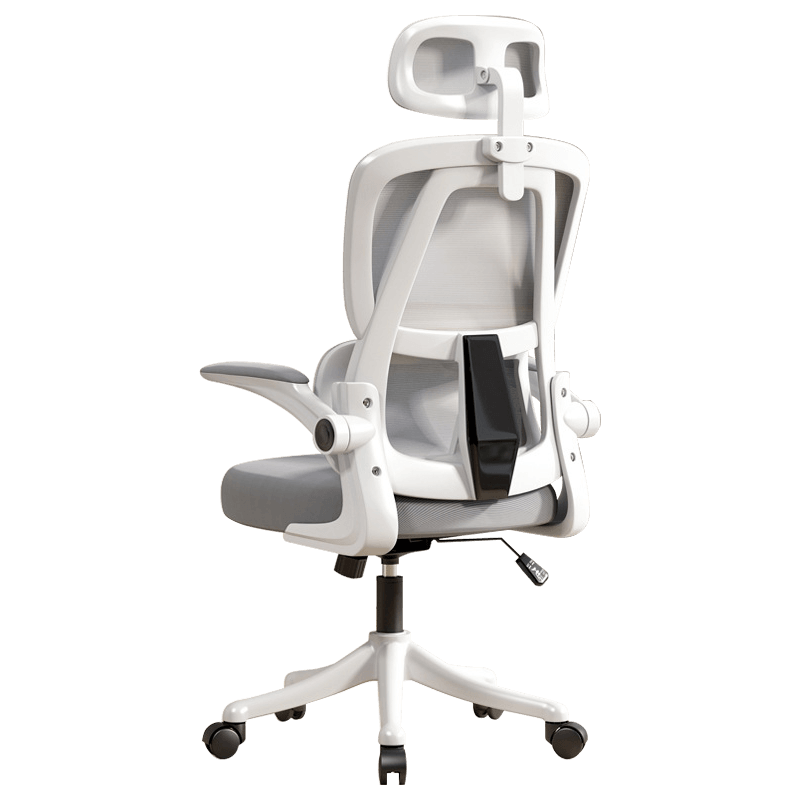 Ergonomic Office Chair with Dual Backrests for Lumbar Protection