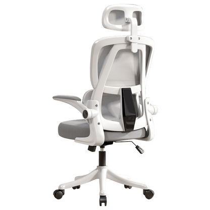 Ergonomic Office Chair with Dual Backrests for Lumbar Protection