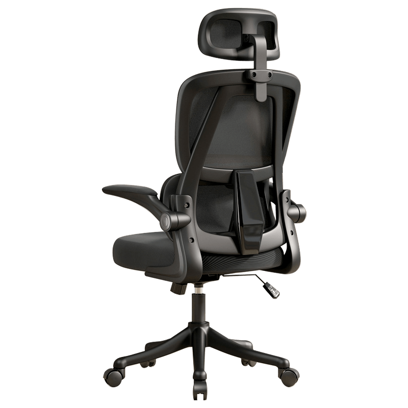 Ergonomic Office Chair with Dual Backrests for Lumbar Protection